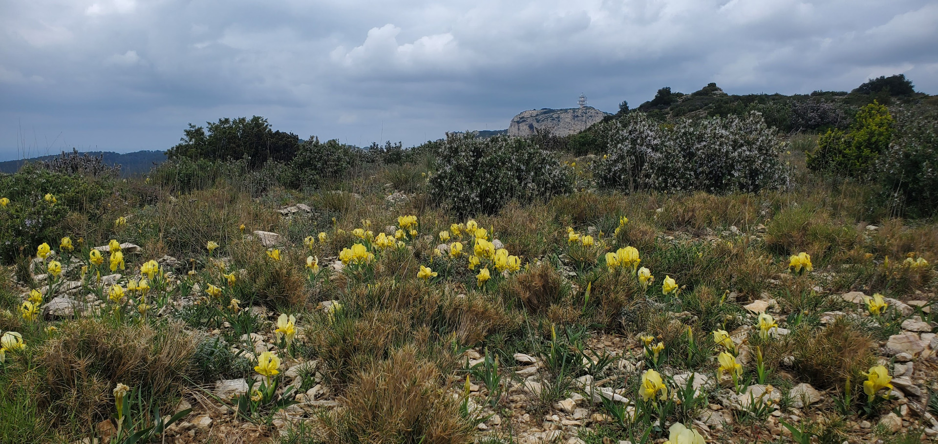 Le Vallon des Amants 9 avril 2025