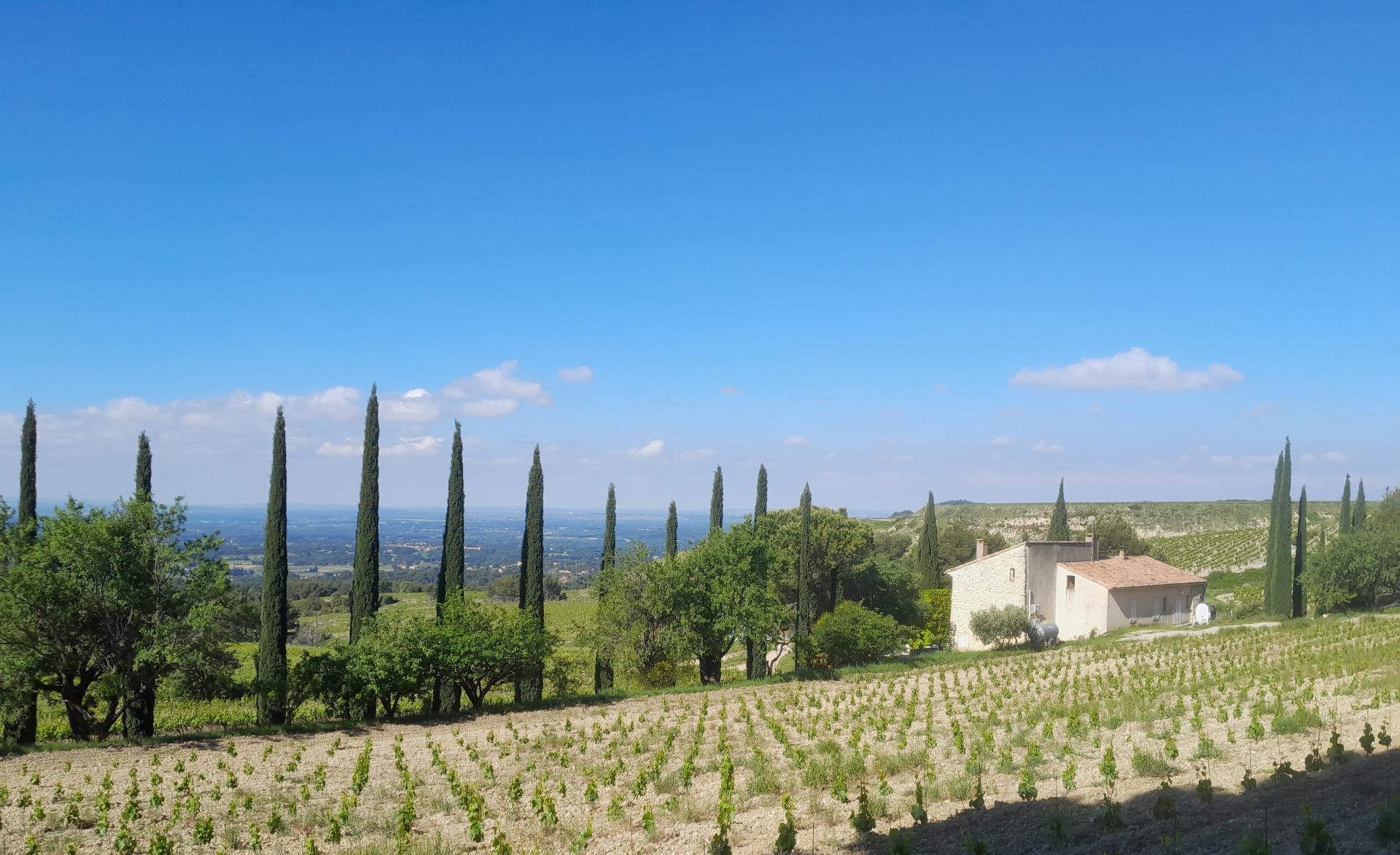 Beaume de Venise, le Barroux, la Roque Alric (accompagnateur Jean-Claude)